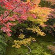 れみ 紅葉ももう終盤🍁 セレブクエスト-Nishikawa-