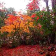 ヒメ日記 2025/11/12 12:32 投稿 れみ セレブクエスト-omiya-