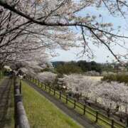 ヒメ日記 2026/03/18 09:10 投稿 れみ セレブクエスト-omiya-