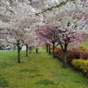 ヒメ日記 2026/05/13 14:04 投稿 れみ セレブクエスト-omiya-