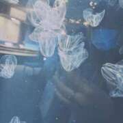 ヒメ日記 2026/04/21 23:29 投稿 いずみ 池袋モンデミーテ（シンデレラグループ）