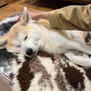 ヒメ日記 2025/10/27 09:22 投稿 にな 東京メンズボディクリニック TMBC 渋谷店