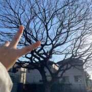 ヒメ日記 2026/01/17 19:39 投稿 黒川なのは ウルトラハピネス