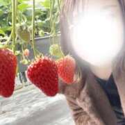 ヒメ日記 2026/02/05 19:19 投稿 黒川なのは ウルトラハピネス