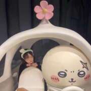 ヒメ日記 2025/12/29 15:54 投稿 まちる デリス新宿