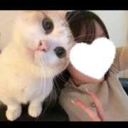 ヒメ日記 2026/01/24 14:24 投稿 まちる デリス新宿