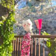 ヒメ日記 2026/04/04 15:44 投稿 まちる デリス新宿