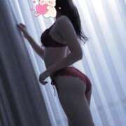 ヒメ日記 2025/11/22 02:20 投稿 ゆみる S級鑑定団