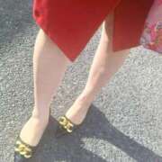 ヒメ日記 2025/12/12 13:21 投稿 せいこ 待ちナビ