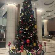 ヒメ日記 2025/11/29 03:42 投稿 せら 錦糸町人妻セレブリティ（ユメオト）