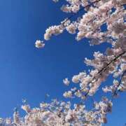 かずみ お知らせ🌸 11チャンネル