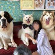 ヒメ日記 2025/11/27 12:06 投稿 えりか クラブハウスシェル