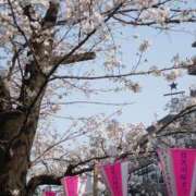 ヒメ日記 2026/04/07 12:09 投稿 もも 素人妻御奉仕倶楽部Hip's松戸店