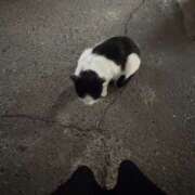 ヒメ日記 2026/01/08 15:55 投稿 よな ファンタジー