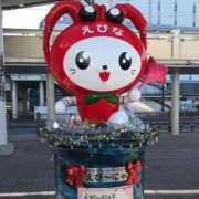 えりか えびーな 熟女の風俗最終章 錦糸町店