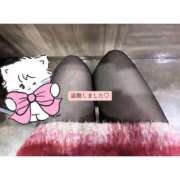 ヒメ日記 2026/02/03 22:09 投稿 きゅう スピードエコ日本橋店