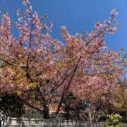 ヒメ日記 2026/03/14 21:03 投稿 原田 モアグループ春日部人妻城