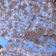 ヒメ日記 2025/11/15 17:27 投稿 うたな いざ候 本館