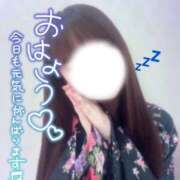 ヒメ日記 2025/12/14 08:17 投稿 うたな いざ候 本館