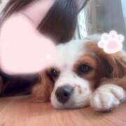 ヒメ日記 2026/01/02 08:07 投稿 うたな いざ候 本館