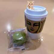 ヒメ日記 2026/01/06 17:37 投稿 うたな いざ候 本館