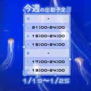 ヒメ日記 2026/01/17 08:17 投稿 うたな いざ候 本館