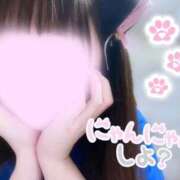 ヒメ日記 2026/01/19 08:07 投稿 うたな いざ候 本館