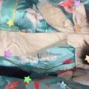 ヒメ日記 2026/02/07 19:37 投稿 うたな いざ候 本館