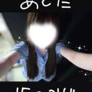 ヒメ日記 2026/03/08 00:34 投稿 うたな いざ候 本館