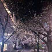 ヒメ日記 2026/03/28 01:47 投稿 うたな いざ候 本館