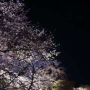 ヒメ日記 2026/04/03 21:47 投稿 うたな いざ候 本館