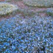 ヒメ日記 2026/04/17 08:07 投稿 うたな いざ候 本館