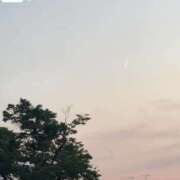 ヒメ日記 2026/04/29 08:07 投稿 うたな いざ候 本館