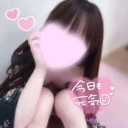 ヒメ日記 2026/05/29 08:18 投稿 うたな いざ候 本館
