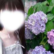 ヒメ日記 2026/06/19 08:07 投稿 うたな いざ候 本館