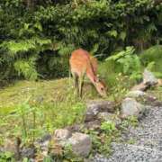 ヒメ日記 2026/07/20 11:47 投稿 うたな Club label