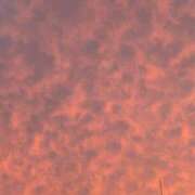 ヒメ日記 2025/10/13 03:35 投稿 りりあ 最高級美女の降臨♪ L＆Jブラザーズ