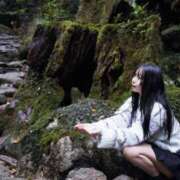 このみ 2日目❕ 姫コレクション