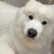 ヒメ日記 2025/10/11 18:22 投稿 みさ◇激カワの美脚クィーン◇ H-ash（アッシュ）