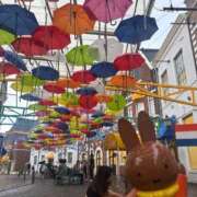 ヒメ日記 2025/10/10 20:22 投稿 むむ(ロリしか勝たん) 学園天国