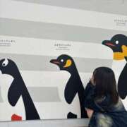 ヒメ日記 2025/10/11 21:33 投稿 むむ(ロリしか勝たん) 学園天国