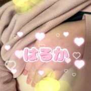 ヒメ日記 2025/11/06 08:30 投稿 はるか ももいろワイフ(久喜)