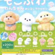 ヒメ日記 2025/10/06 15:44 投稿 宮水みつは HYPER TOKYO