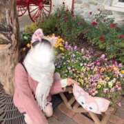 ヒメ日記 2025/10/10 22:09 投稿 宮水みつは HYPER TOKYO