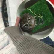 ヒメ日記 2025/10/21 15:25 投稿 深雪（みゆき） 熟女の風俗最終章 大宮店