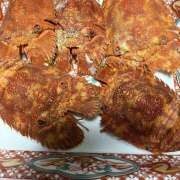 ヒメ日記 2025/11/18 19:56 投稿 橋本 HERMINE-エルミネ-