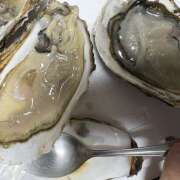 ヒメ日記 2025/12/13 09:51 投稿 橋本 HERMINE-エルミネ-