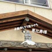 ヒメ日記 2026/01/16 17:06 投稿 ちはる with SPA (ウィズスパ)