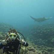 ヒメ日記 2025/10/16 16:25 投稿 はのん バイオレンス