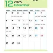 ヒメ日記 2025/11/22 22:45 投稿 はのん バイオレンス